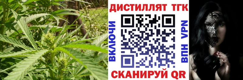 ТГК гашишное масло  как найти   Томари 